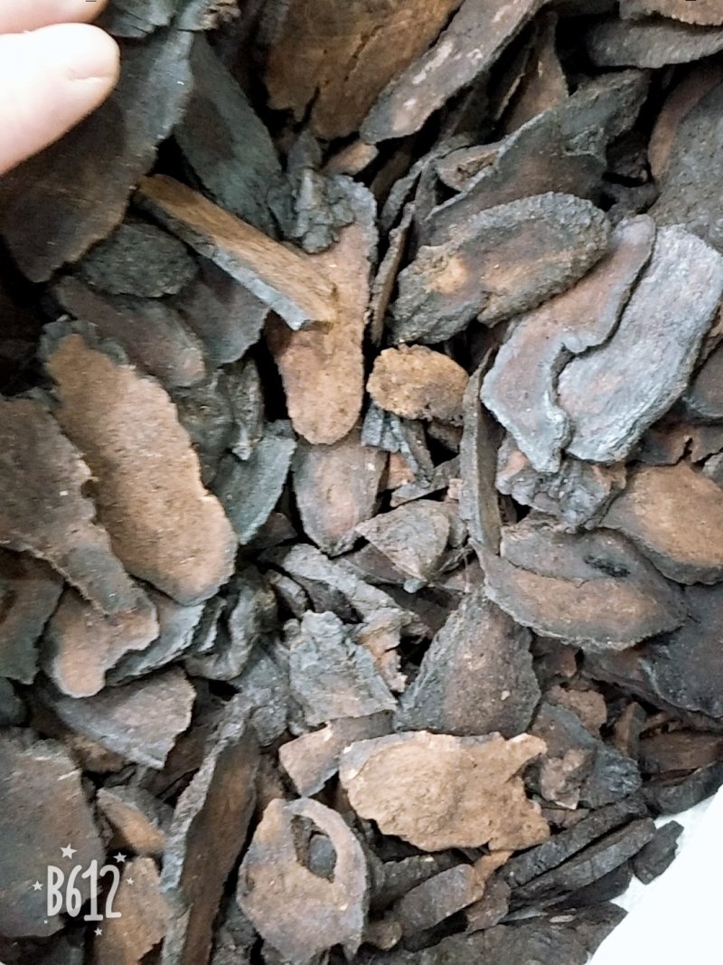 大芸肉苁蓉硬支批发各种规格中药材