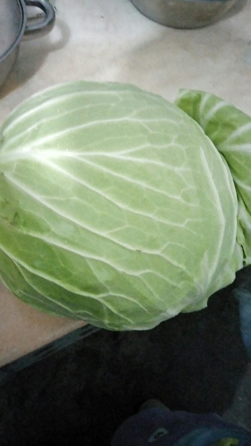 包菜