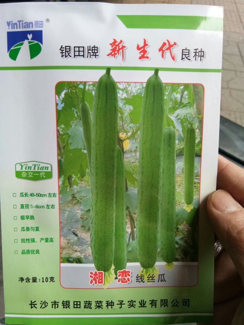 优质线丝瓜种子长丝瓜种子香丝瓜种子