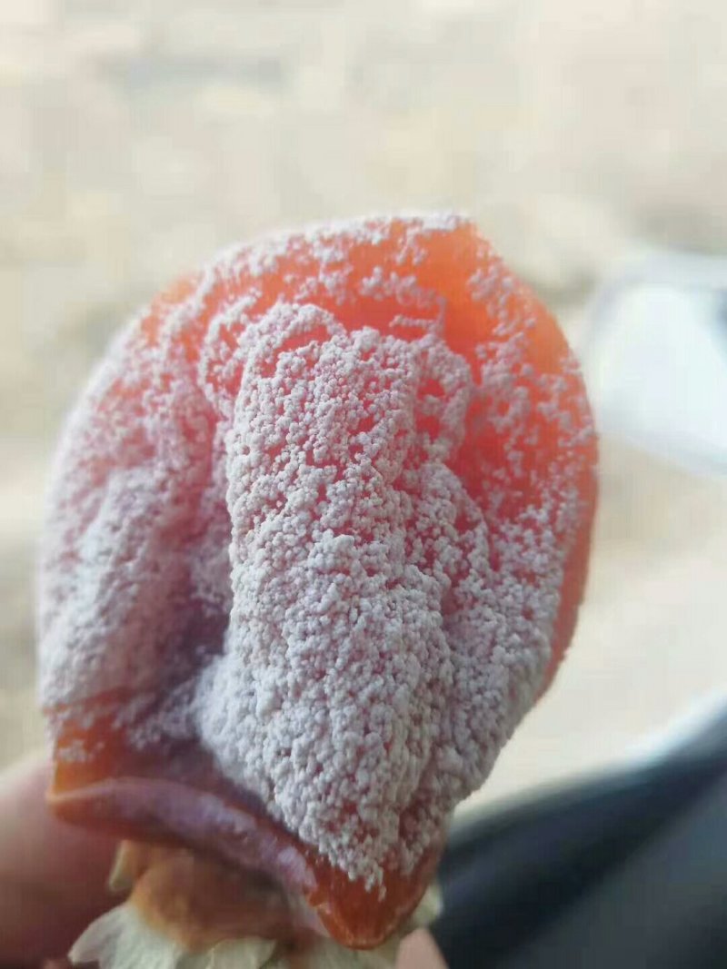 富平县曹村吊霜柿饼