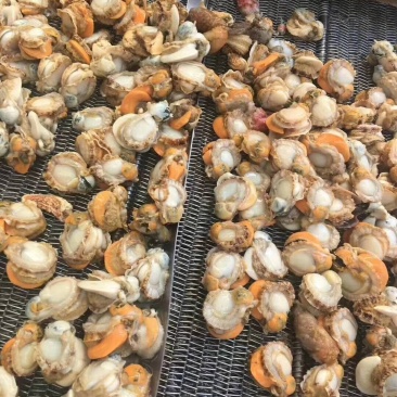 原汁扇贝肉扇贝肉