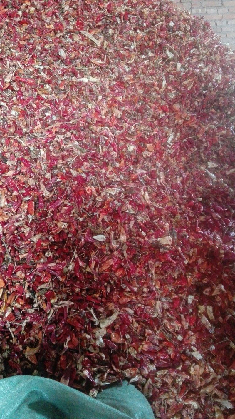 北京红花皮