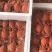 招财蟹净重6斤满黄