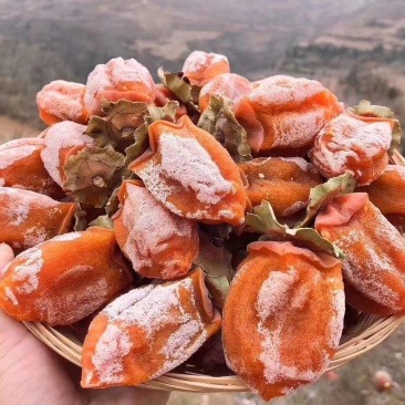 正宗富平柿饼