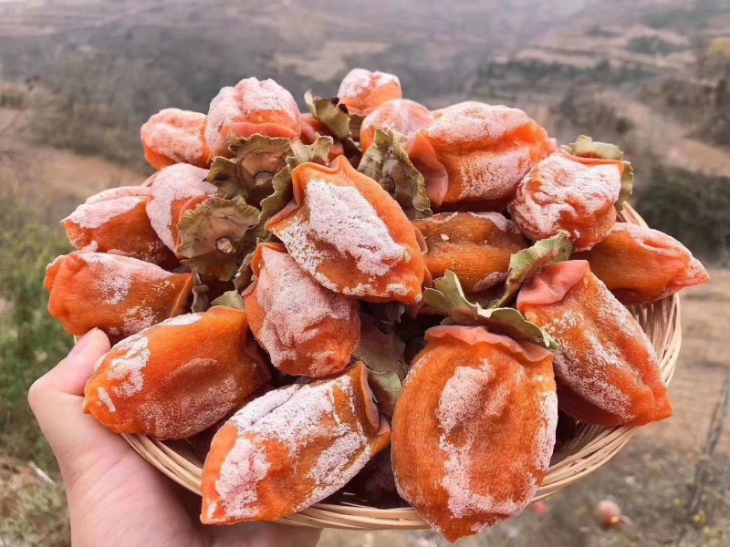 正宗富平柿饼