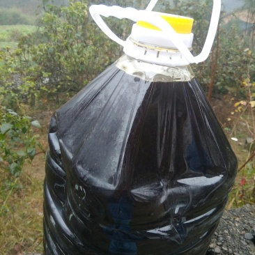 茶陵野生山茶油
