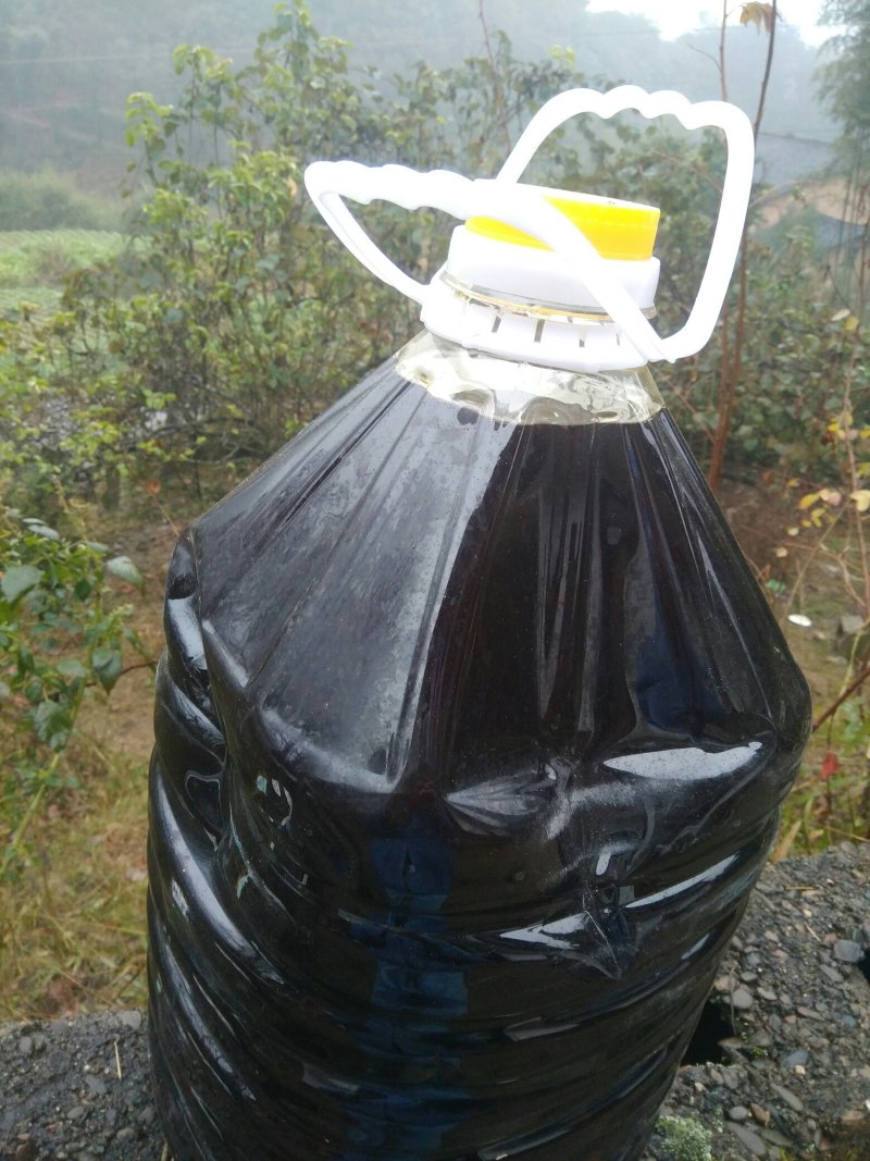 茶陵野生山茶油