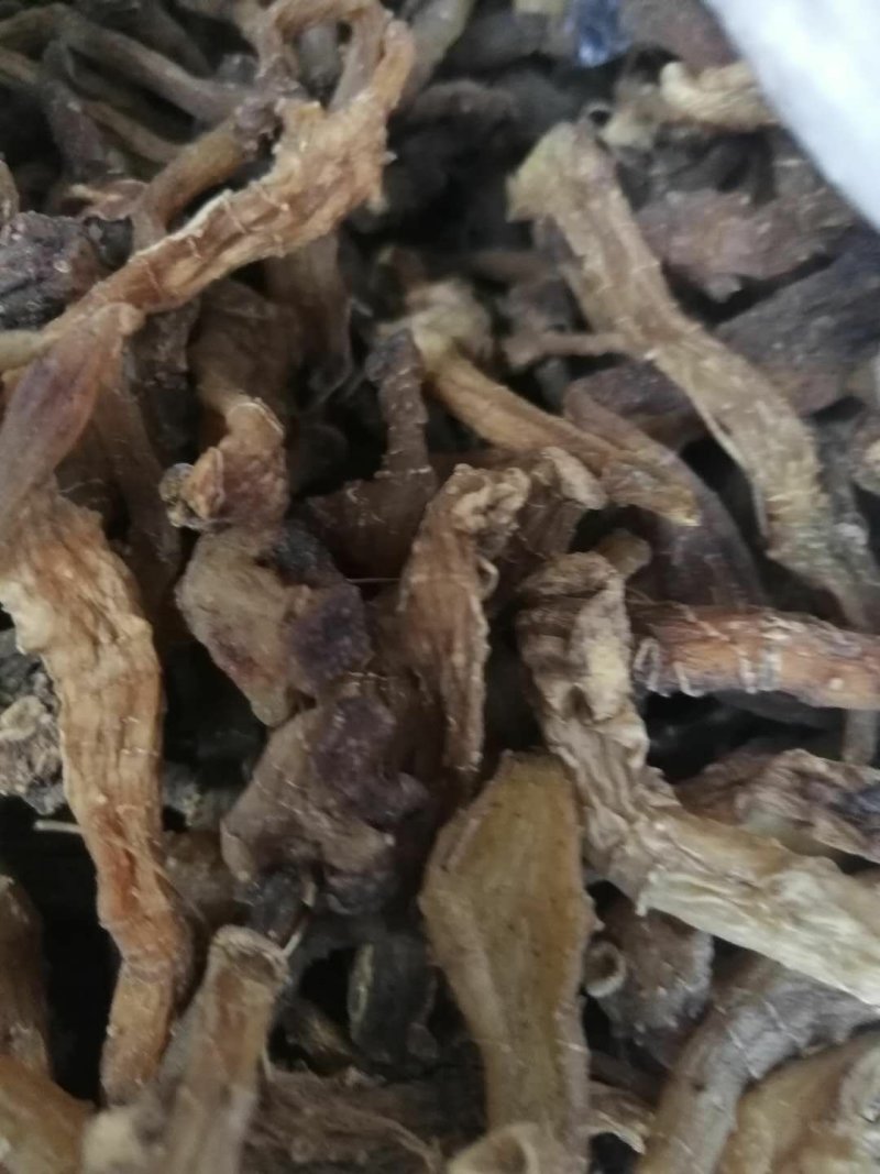 野生黄精