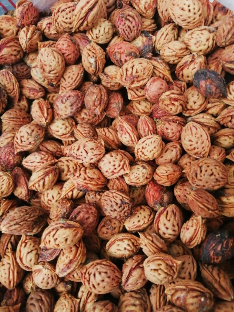 桃胡