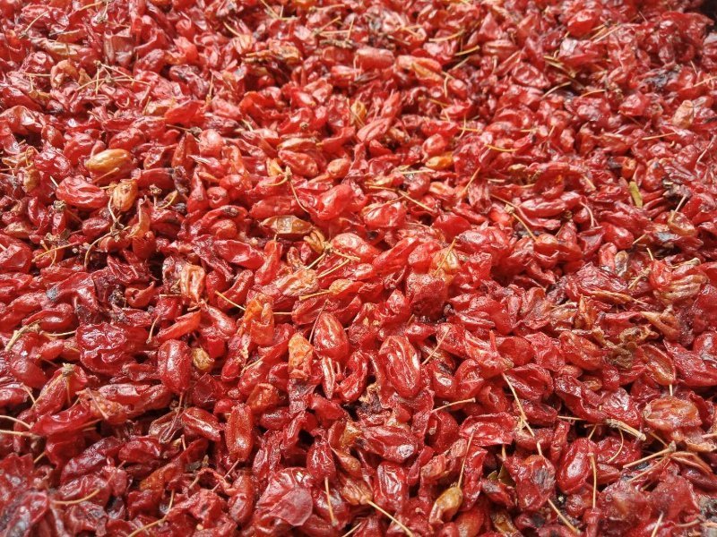 山茱萸