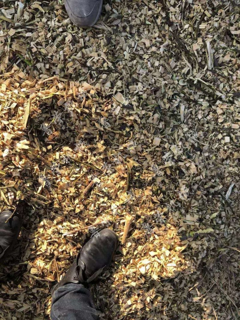 碎枝机柴油机带动，购机从速，厂家直发