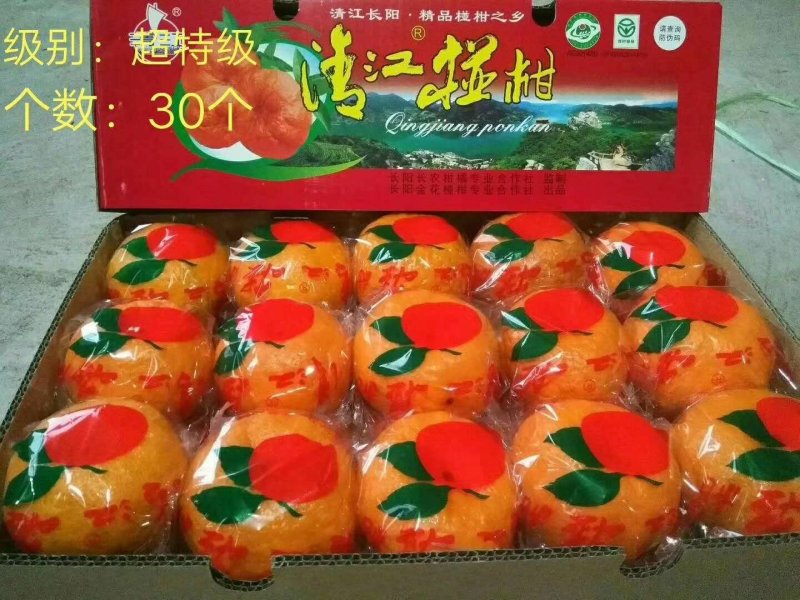 【特级】宜昌精品椪柑产地直销精品包装价格优惠