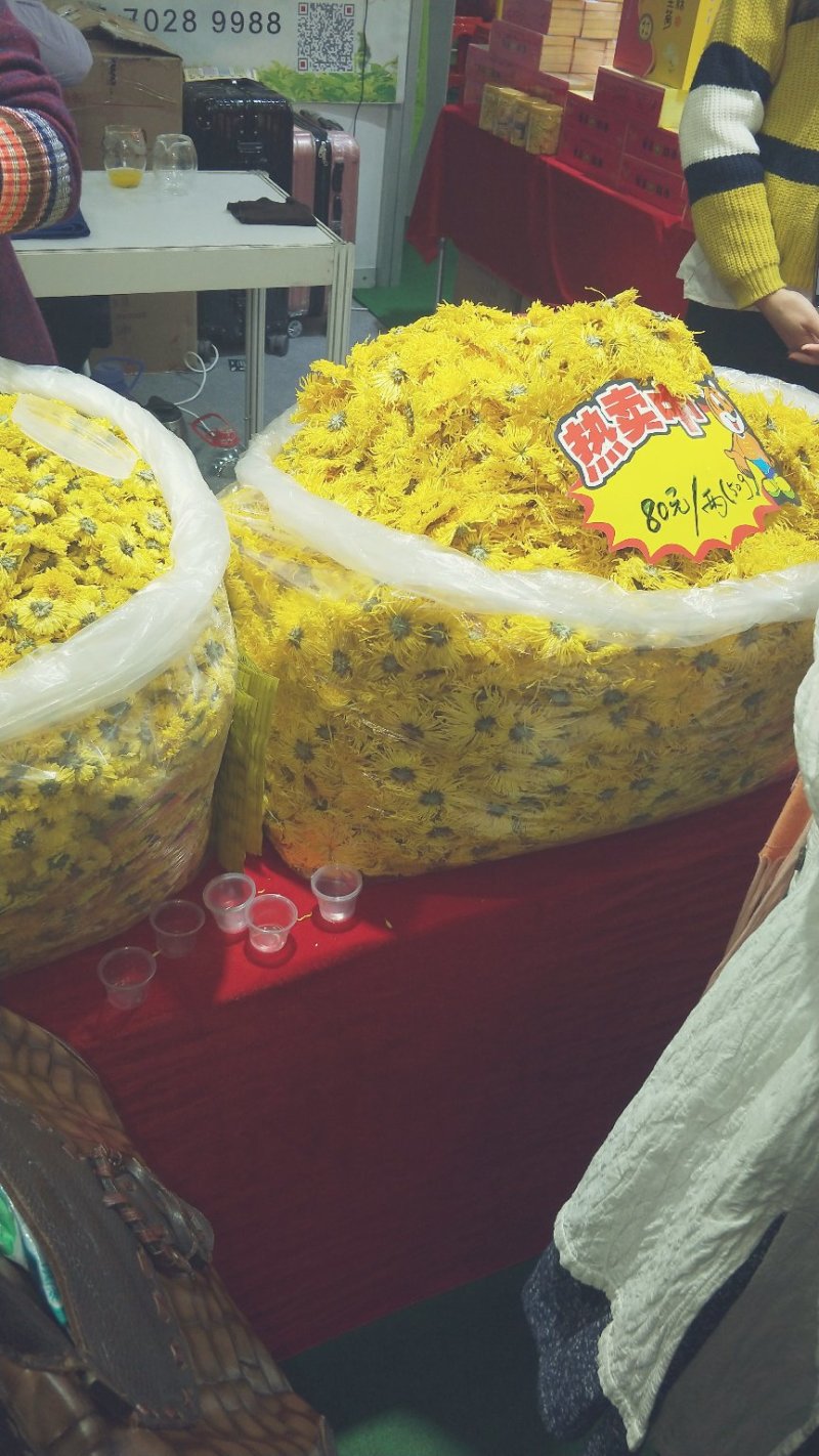 金丝黄菊