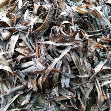 地龙干