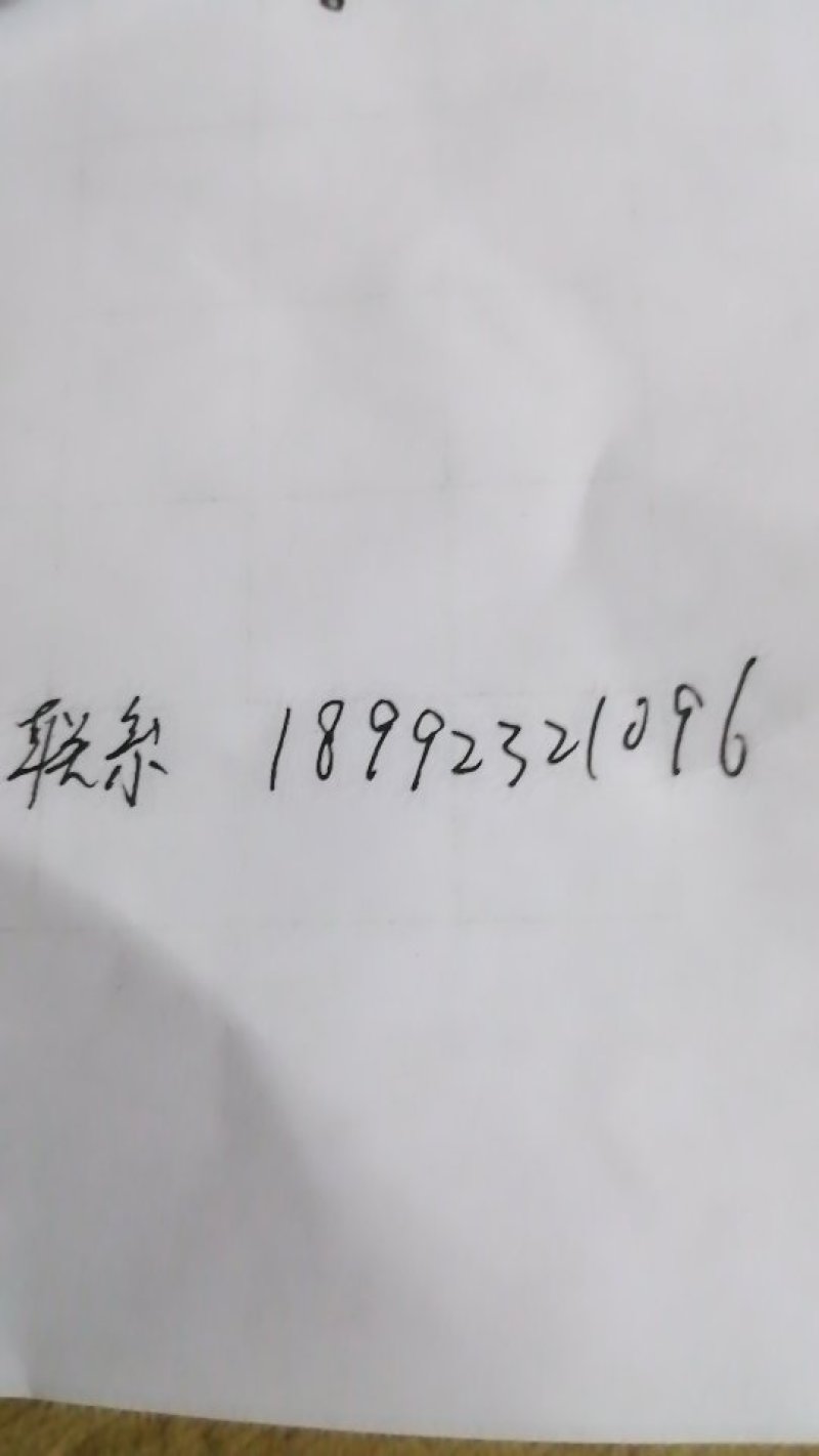 黄盖花椒苗1~2年