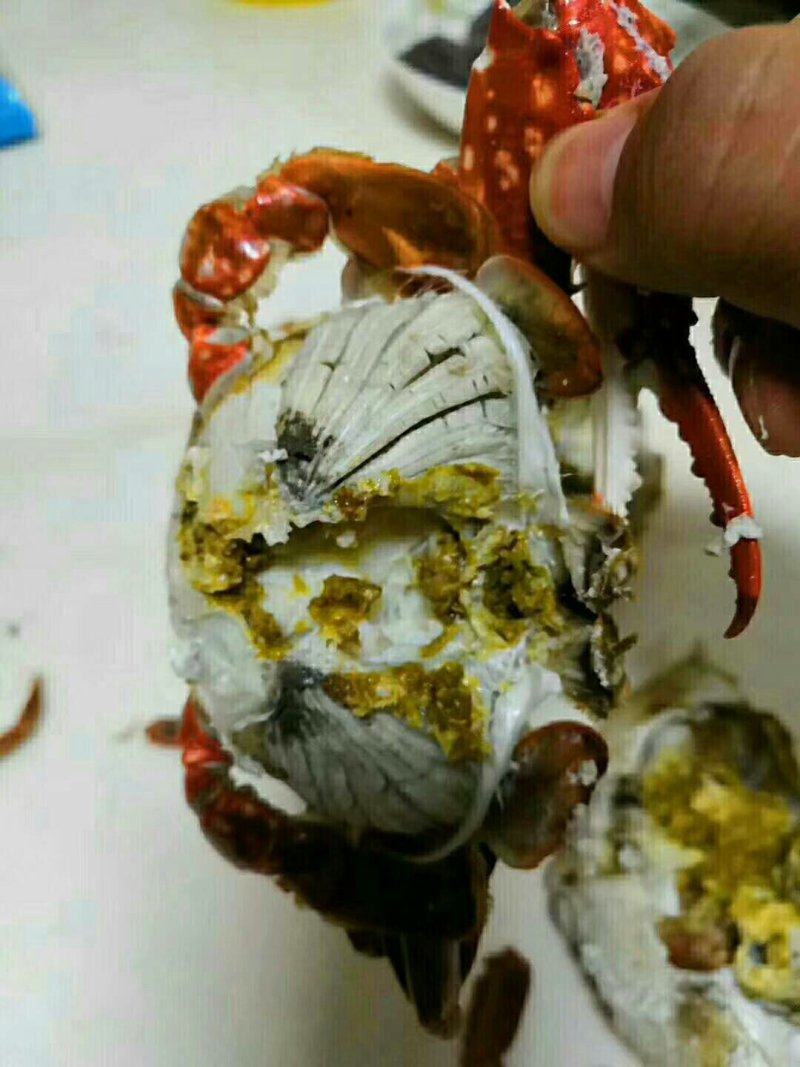 丹东东港，冻花叉齐，排腿，黑叉脐梭子蟹，支持一件代发