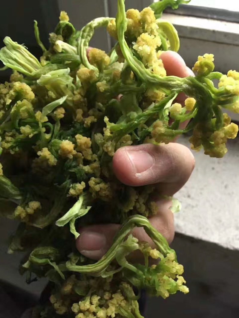 菜花干，花菜干