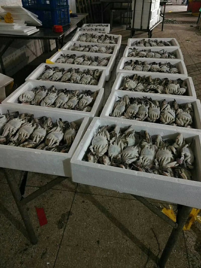 泡沫箱