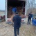 【荐】荷兰香蜜杏两年苗原产地直供品种保证包活当年结果