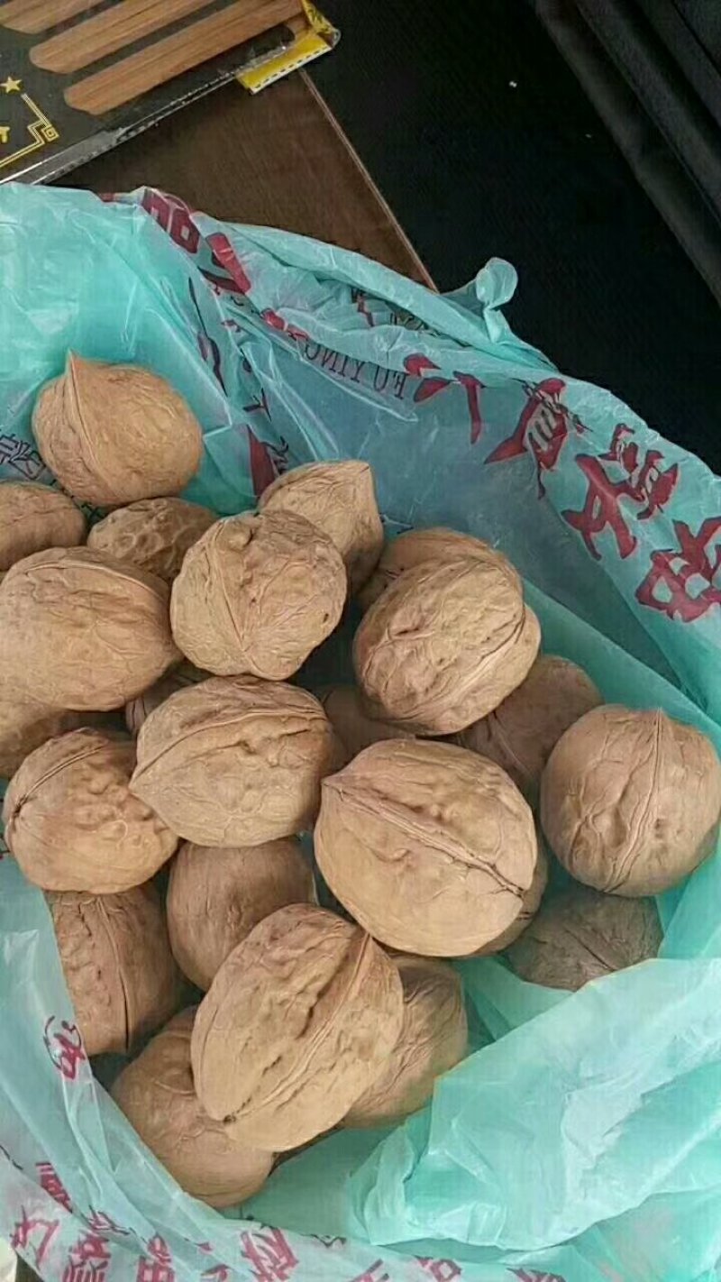 薄皮核桃，中果