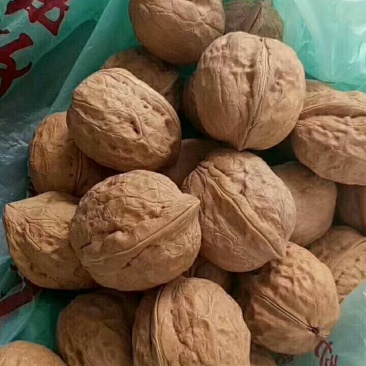 薄皮核桃，中果