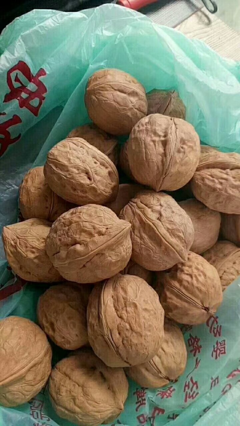薄皮核桃，中果