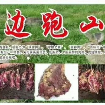 兔腿