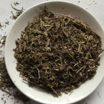 香薷草土香薷香茹中药材