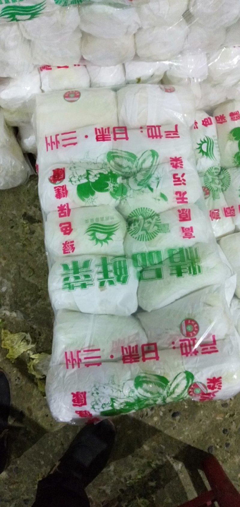 大量供应娃娃菜，万亩基地，质优价廉，提供任何规格包装
