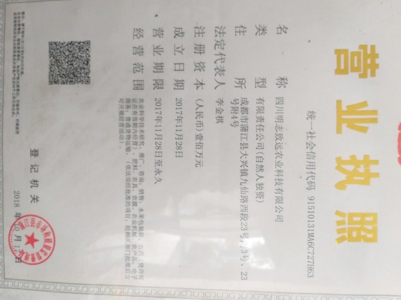 优质耙耙柑丑桔不知火原产地供应