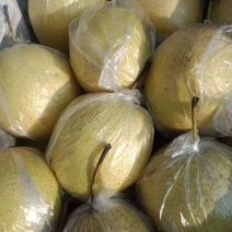 雪花，皇冠梨