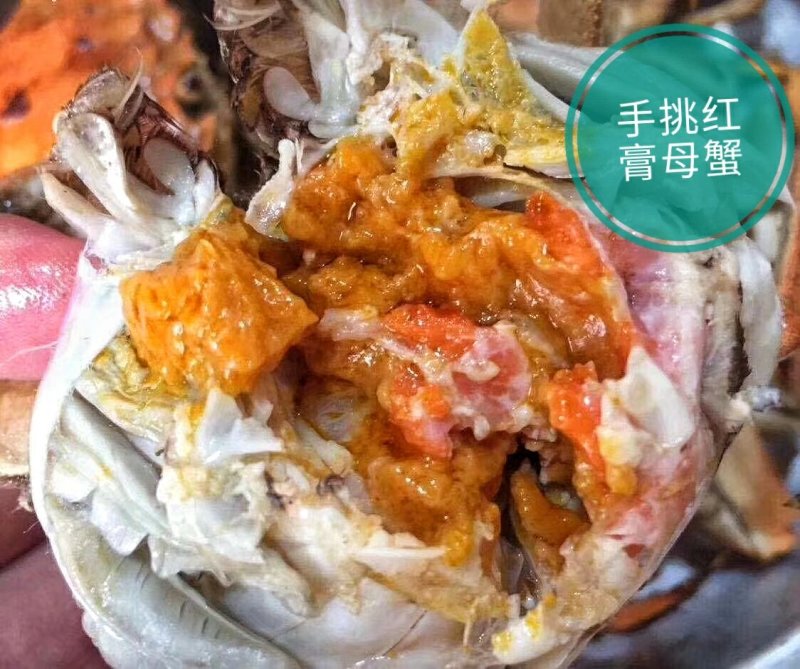 盘锦河蟹公母各5只共10只(大闸蟹)