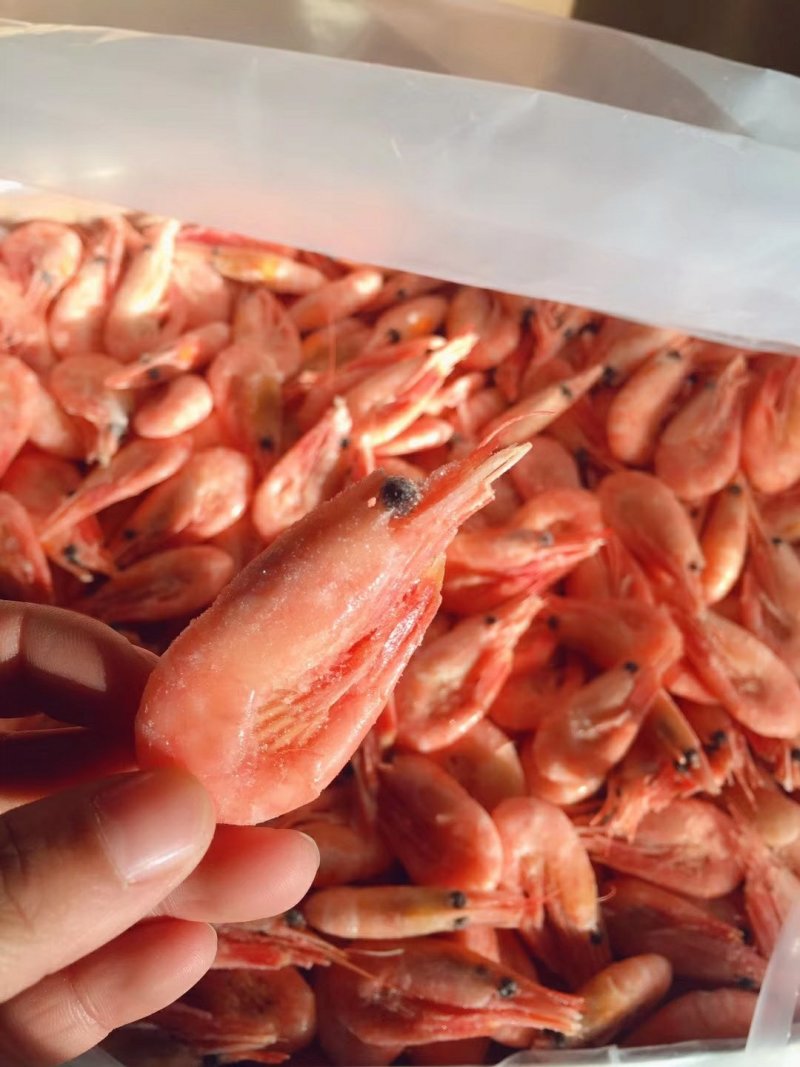 北极甜虾