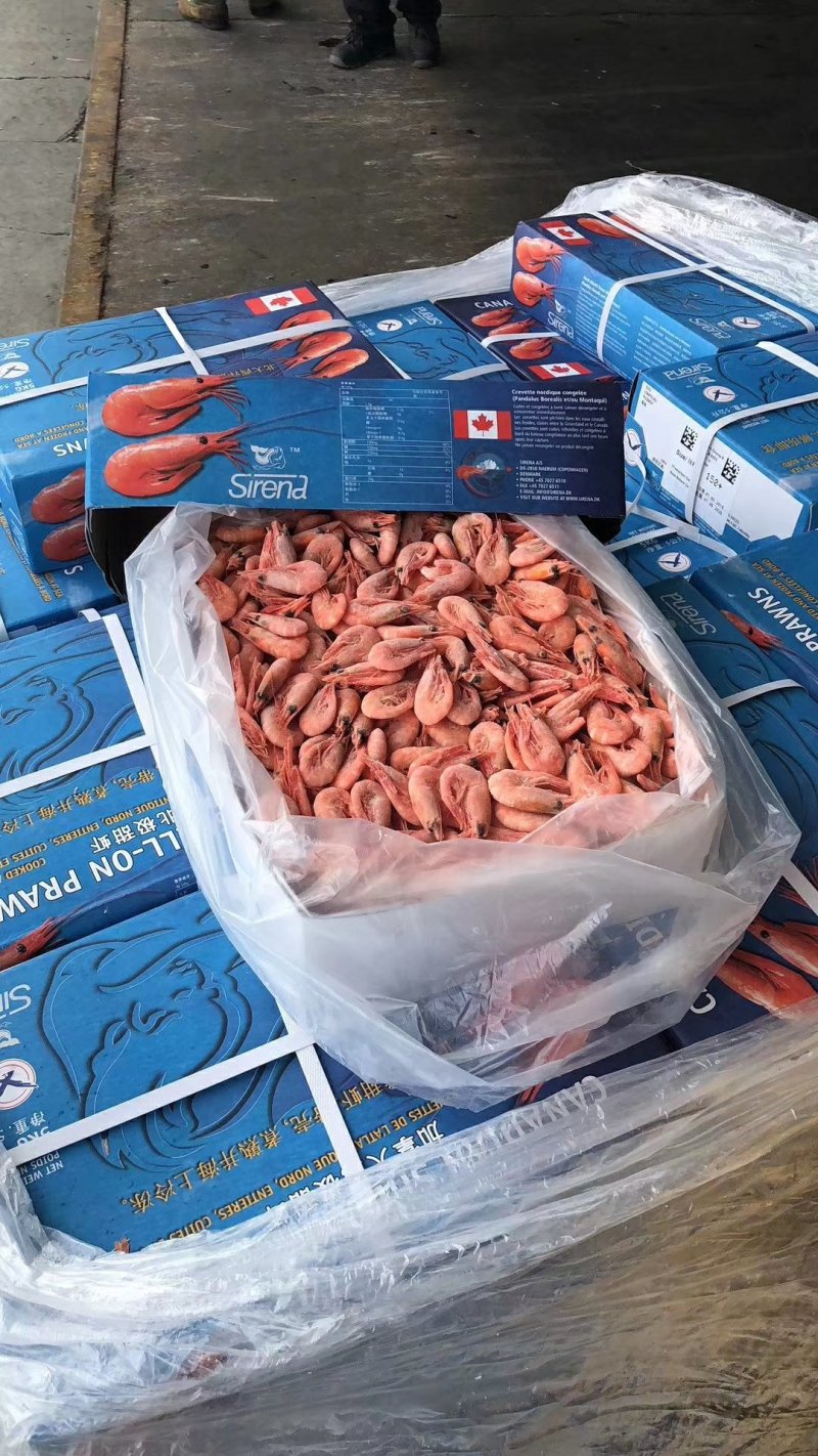 北极甜虾