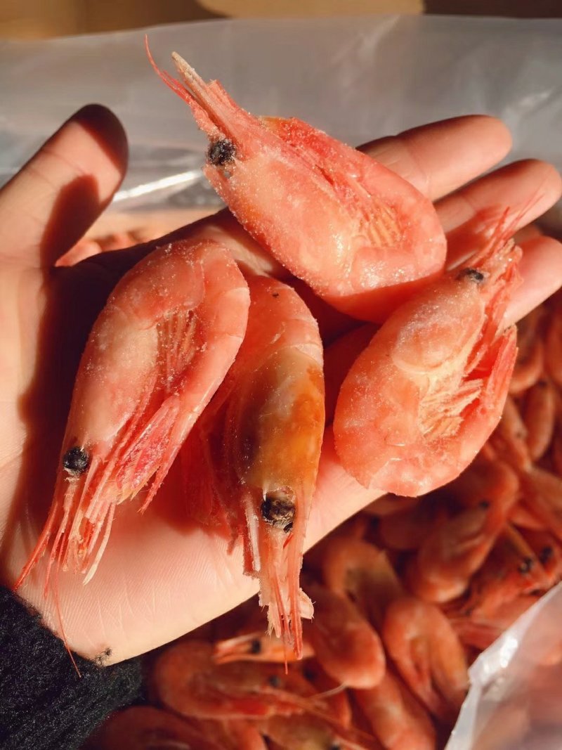 北极甜虾
