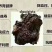 桦树茸颗粒，糖尿病克星