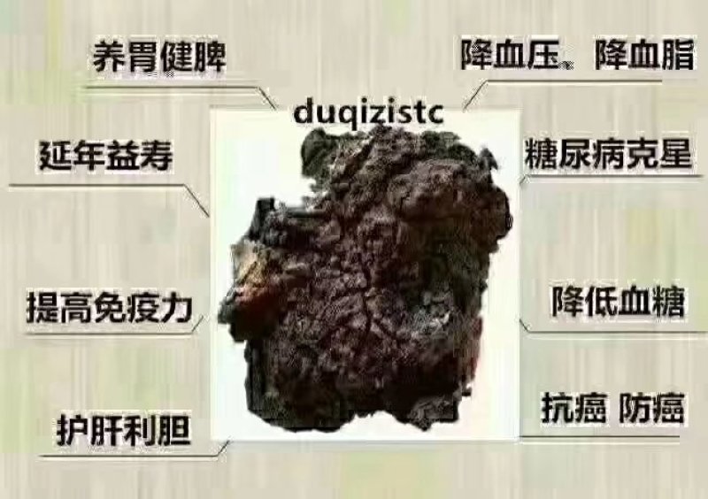 桦树茸颗粒，糖尿病克星