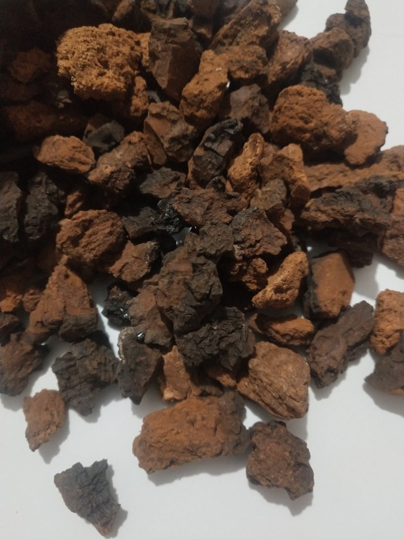 桦树茸颗粒，糖尿病克星