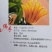 佛手散装