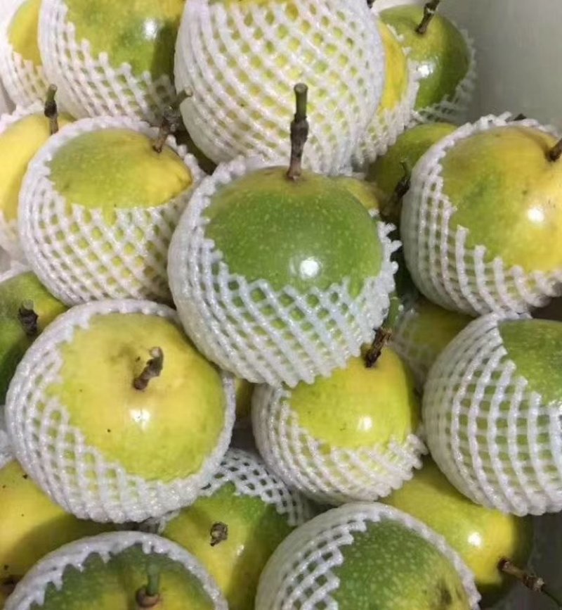 黄金百香果秒拼全网，，，，，，，，，，，，，