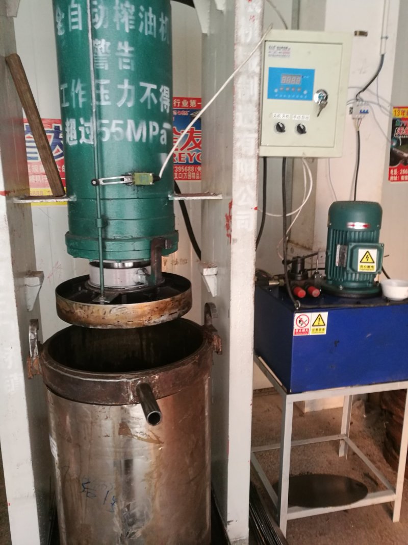 茶油，现榨现卖