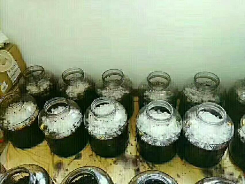 果酒