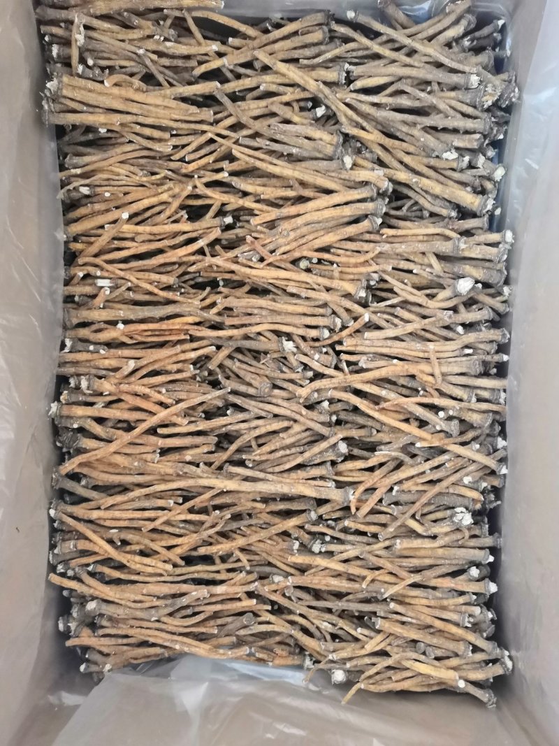 中药根茎类