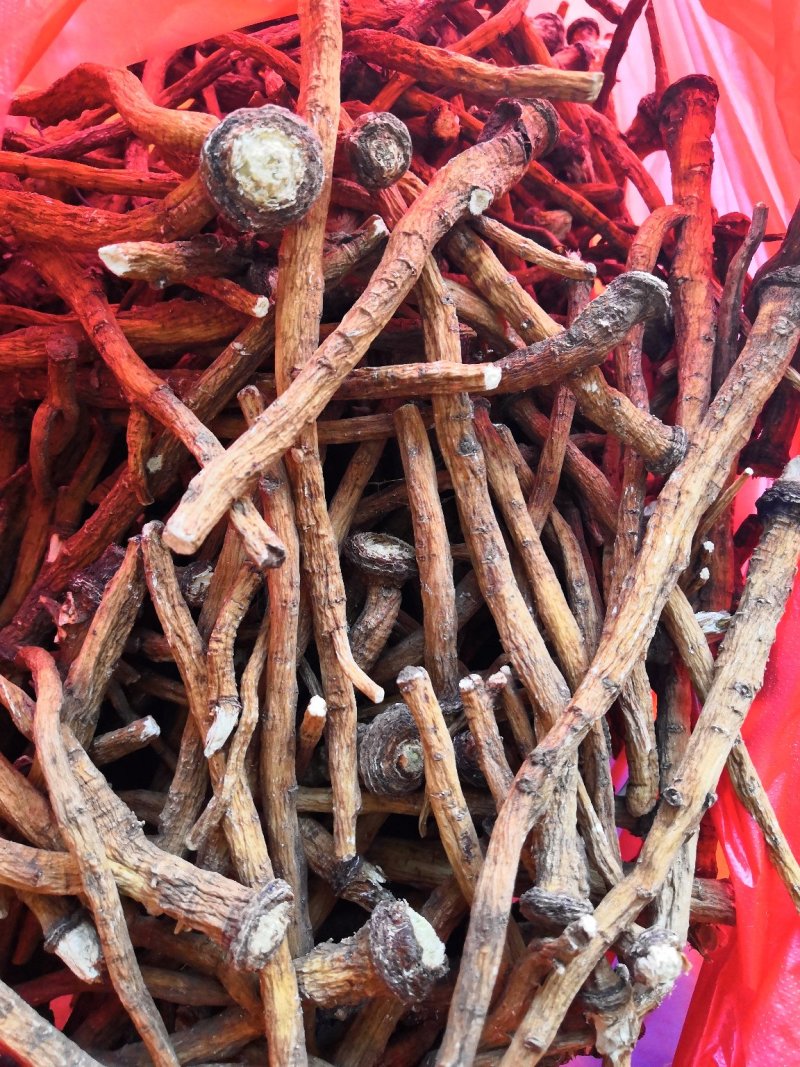 中药根茎类
