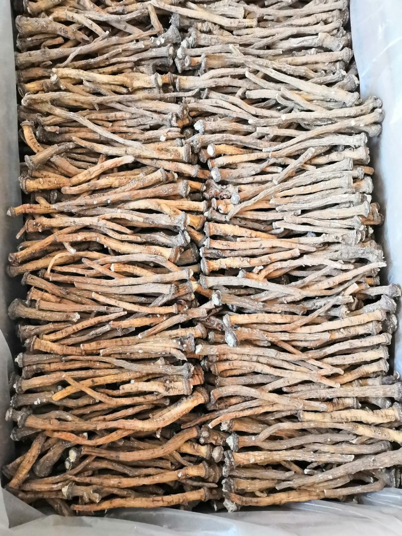 中药根茎类