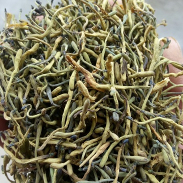 供应山银花。
