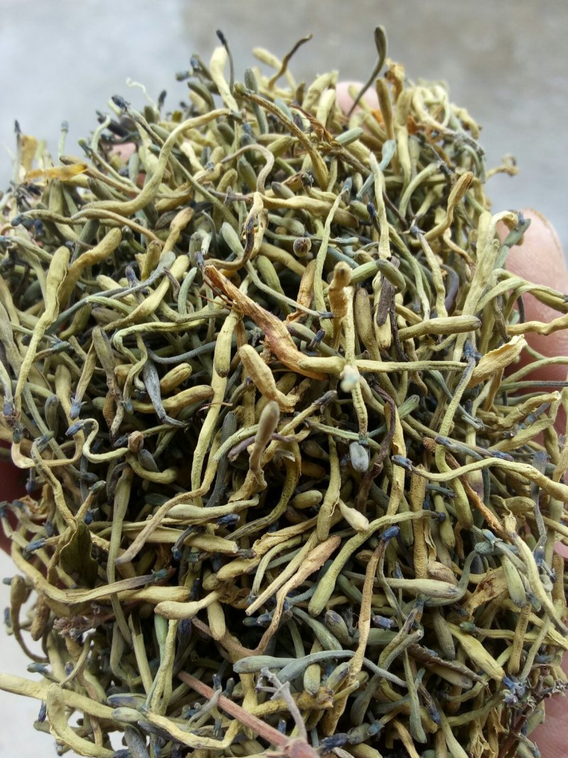 供应山银花。