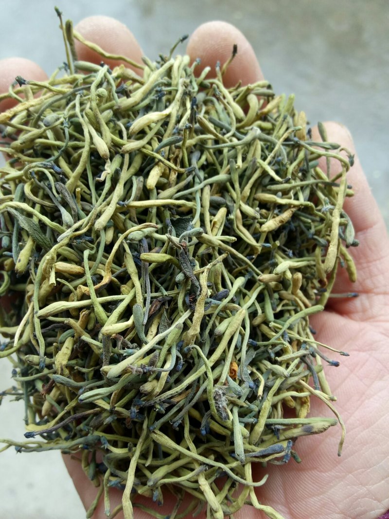 供应山银花。