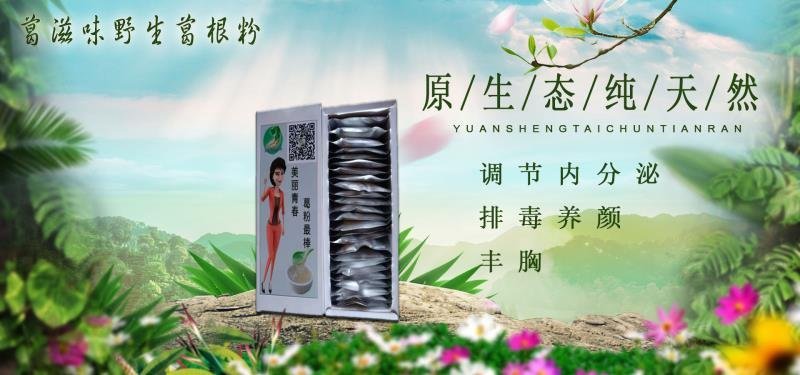 野生葛根粉