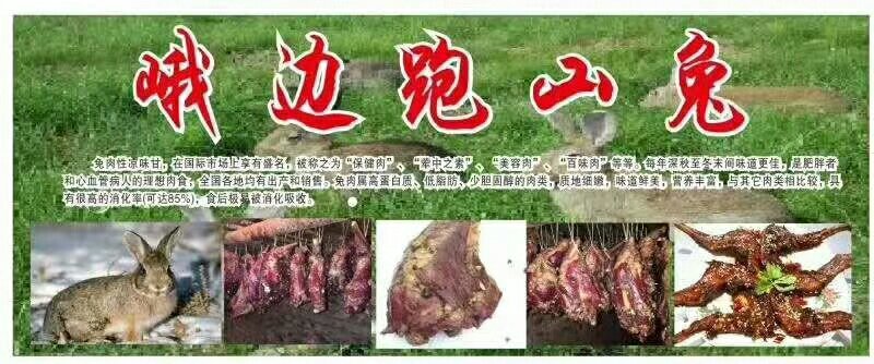肉兔